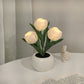 DreamTulip | Elegantes und Beruhigendes Nachtlicht