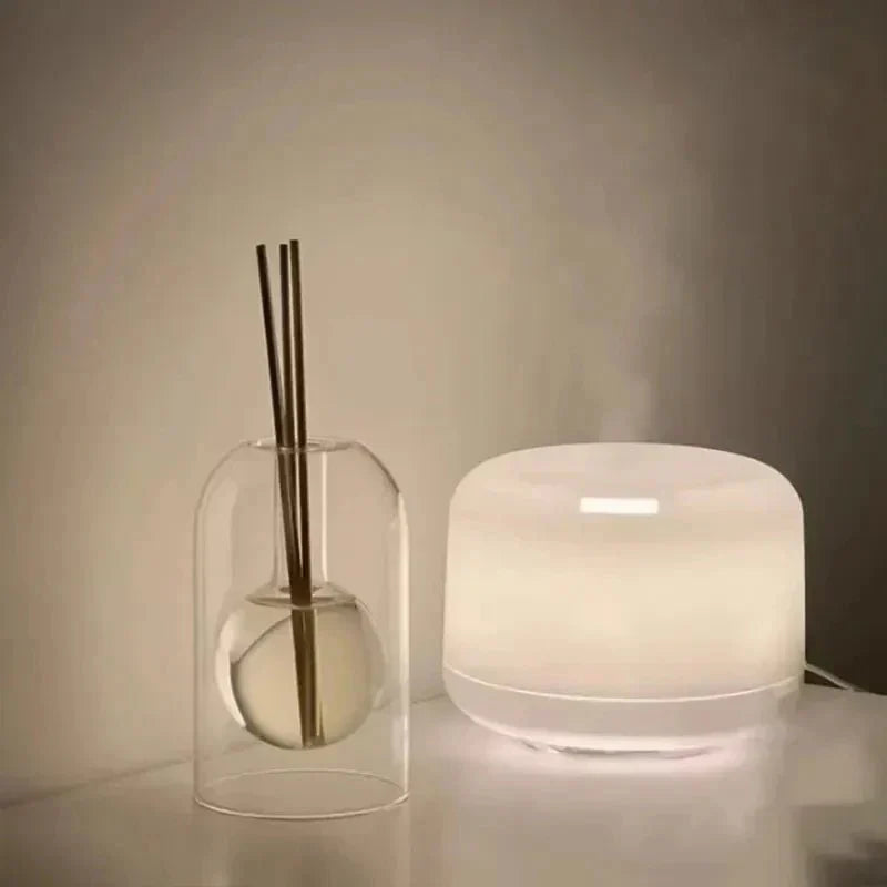 Doppelwandiger Duftdiffuser Flasche – Stilvoller Aroma Diffuser für Zuhause