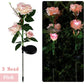 Pfad Solar Blumen Gartenlichter