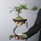 Frendorf | Zenovia Hänge-Bonsai-Pflanzgefäß mit Kettenaufhängung | Minimalistisches Design | Indoor & Outdoor