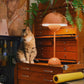 Frendorf | LumoBloom Verstellbare LED Tischlampe | Wiederaufladbar | Dimmbar | Dekorative Designleuchte für Zuhause & Büro