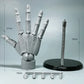 Frendorf | Multi-Pose Zeichnen Sculpting Kunst Hand Modell