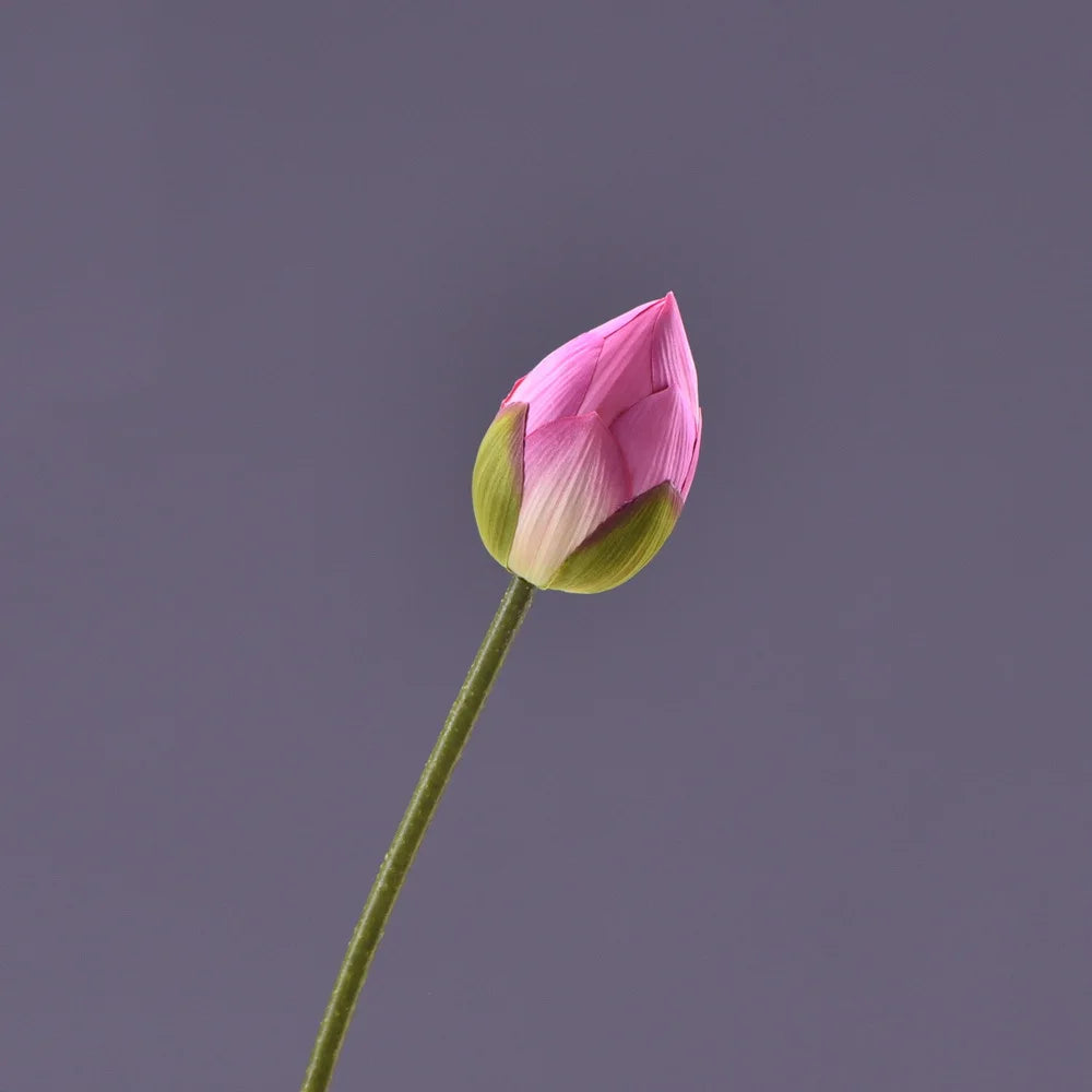 Frendorf | Künstliche Lotusknospenblume