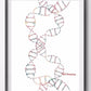 DNA-Genetic-Code-Poster, Einzelhelix-Baumdesign-Leinwandmalerei-Poster für die Wohnkultur Wohnzimmer-Wandkunst für das Schlafzimmer