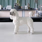 Mode Hund Modell Simulation Tier Kollektion Dekoration Handwerkskunst Figuren Miniaturen Wandbilder Zubehör Einrichtung Modelle