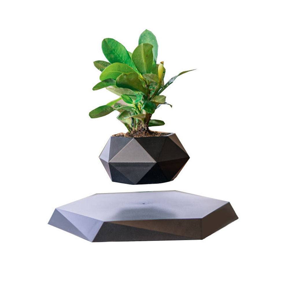 EnchantedBloom™ Schwebender Luft-Bonsai-Topf