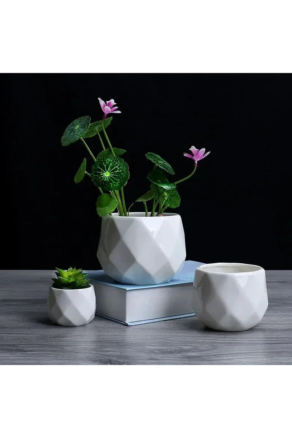 Geometrische Eleganz Weiße Blumentöpfe