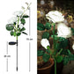 Outdoor Solar LED Blumenlampe