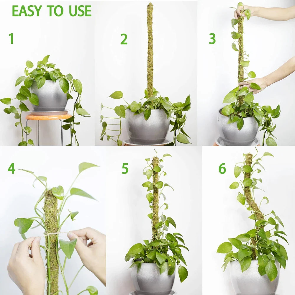 1PC Handmade Biegsame Moosstange für Monstera und Zimmerpflanzen - Echte Moospflanzenstützen für Kletterhilfe