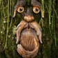 Augen der Natur: Baumgesicht Vogelfutterstation