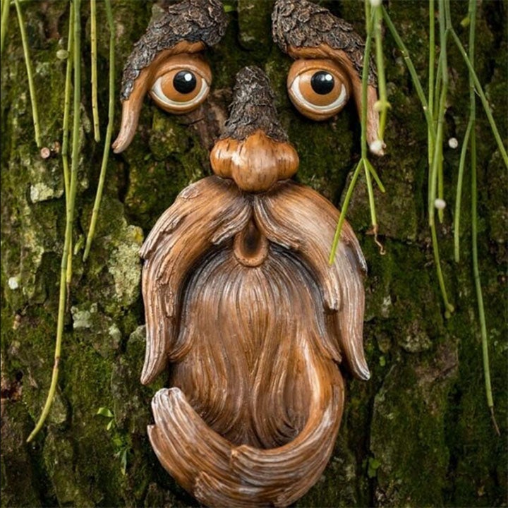 Augen der Natur: Baumgesicht Vogelfutterstation
