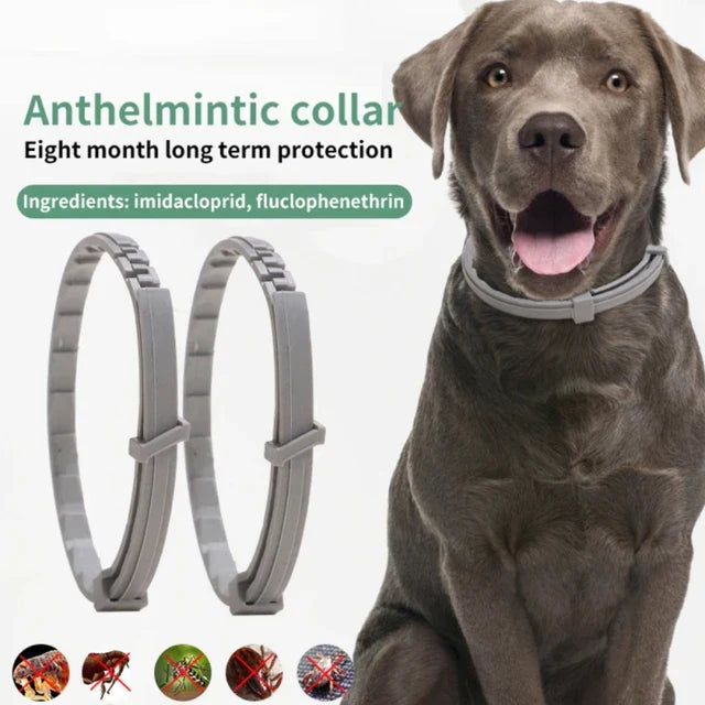Frendorf | Anti Zecken Halsband