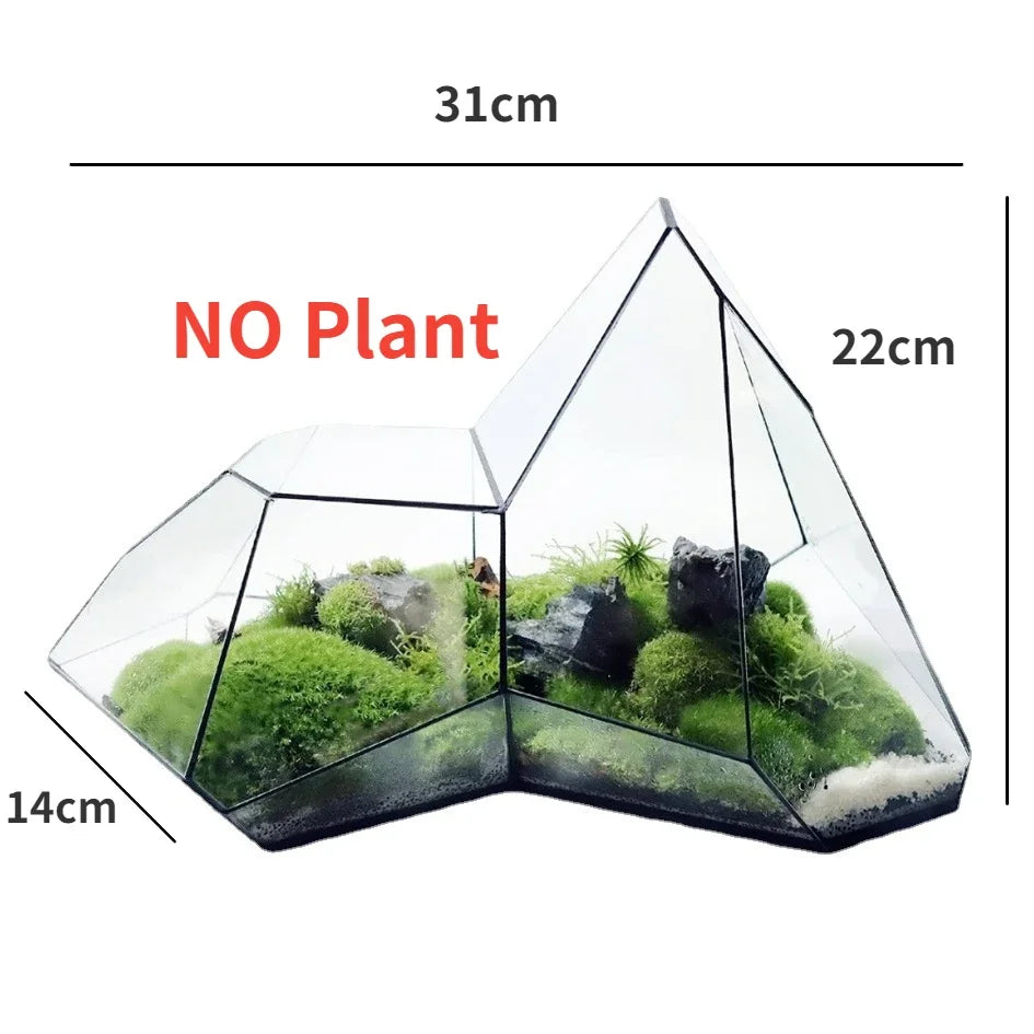 Frendorf | Geometrische Glas Moos Pflanztopf Terrarium Vase