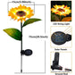 Pfad Solar Blumen Gartenlichter
