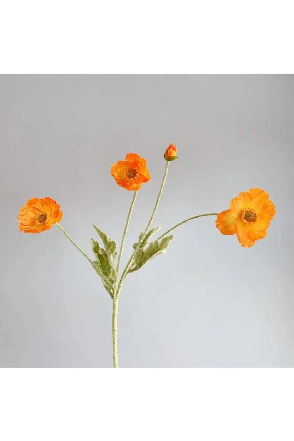 Seiden-Poppy Künstliche Blumen