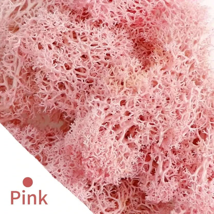 Frendorf | EvergreenPro Deko-Moos | Pflegefrei & Flexibel | Immergrüner Look