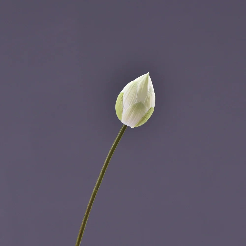 Frendorf | Künstliche Lotusknospenblume
