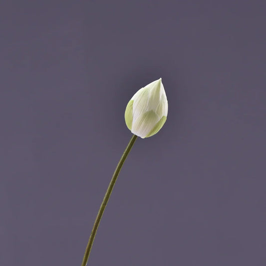 Frendorf | Künstliche Lotusknospenblume