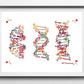 DNA-Genetic-Code-Poster, Einzelhelix-Baumdesign-Leinwandmalerei-Poster für die Wohnkultur Wohnzimmer-Wandkunst für das Schlafzimmer
