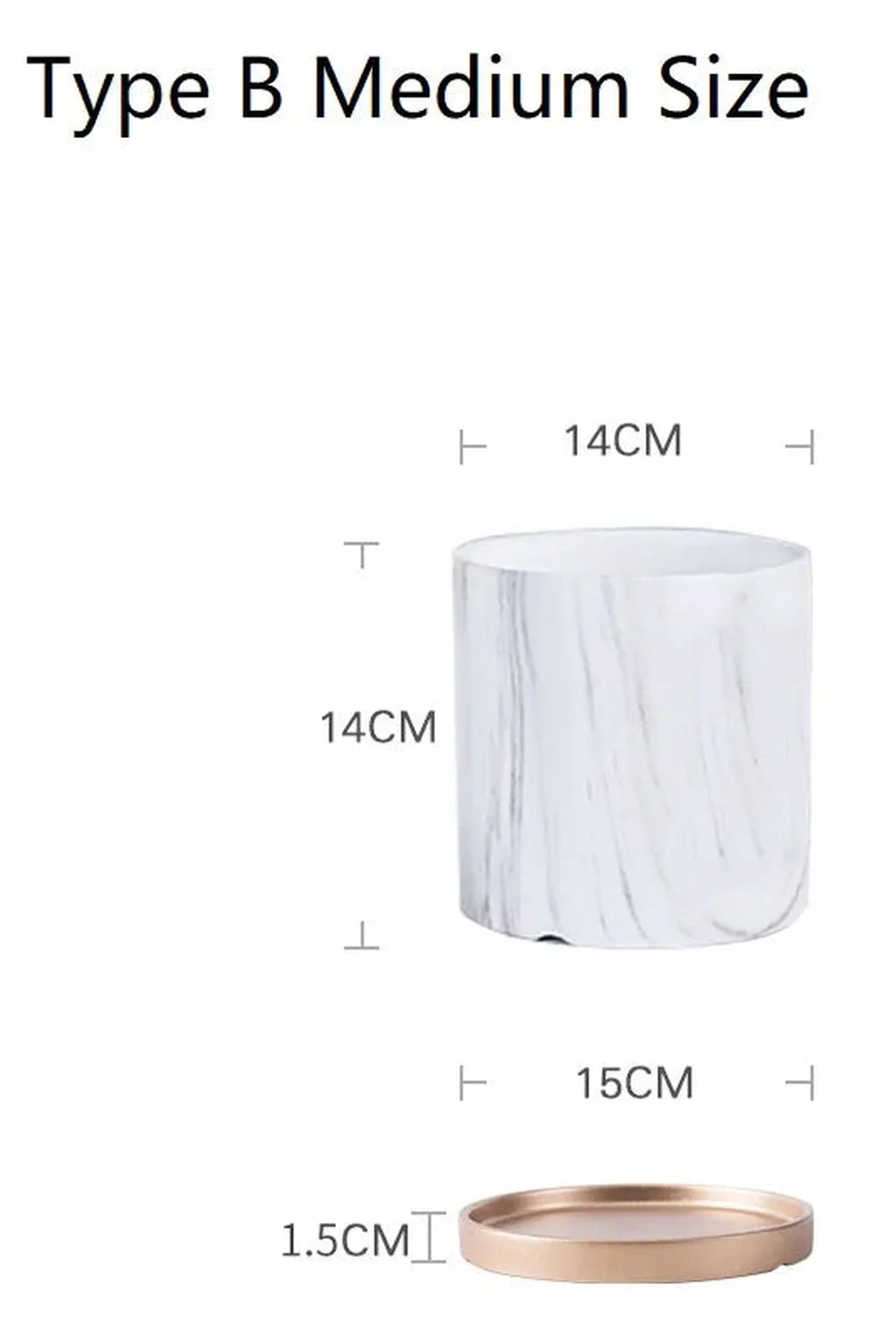 Marmor Goldblatt Pflanzen Topf Set