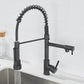 Frendorf | FlowSelect Wasserhahn mit Doppel-Auslauf | Modernes Design | Multifunktionaler Küchenarmatur | Hochwertige Materialien
