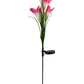 Outdoor Solar LED Blumenlampe