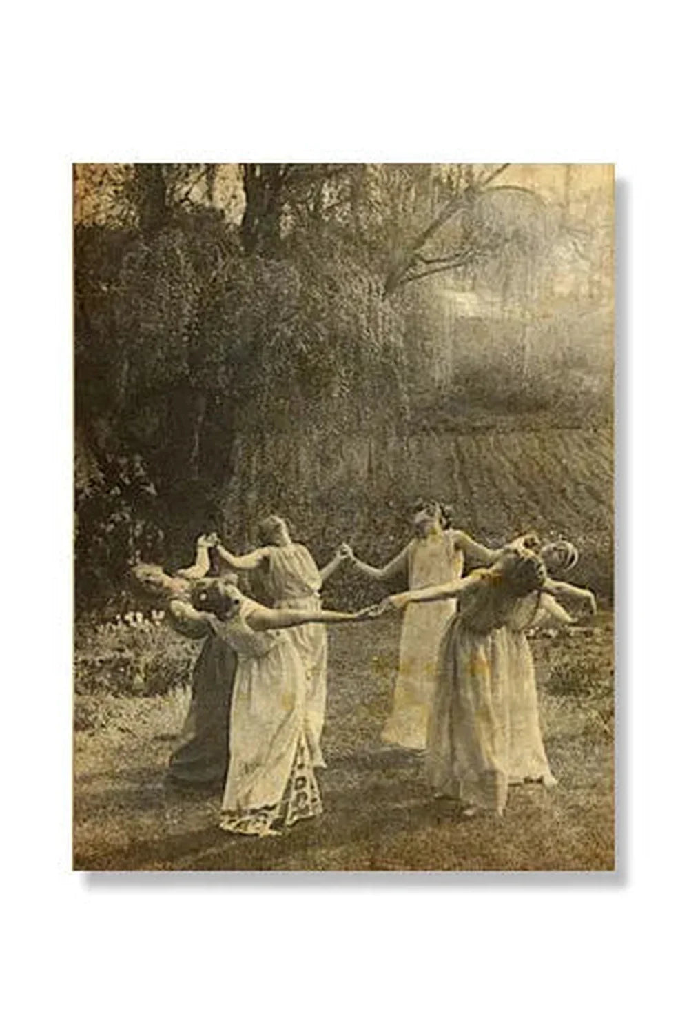 Witch Dance Leinwandposter