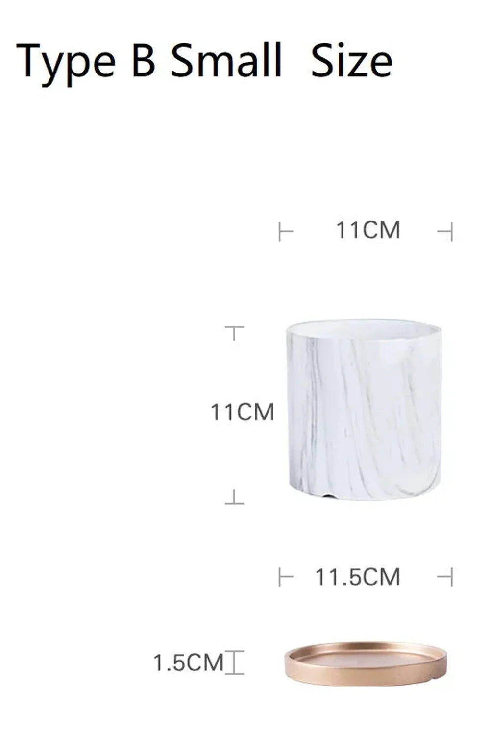 Marmor Goldblatt Pflanzen Topf Set