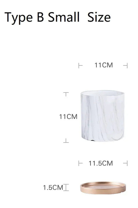 Marmor Goldblatt Pflanzen Topf Set