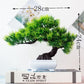 Bonsai Kunstpflanze