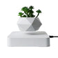 EnchantedBloom™ Schwebender Luft-Bonsai-Topf