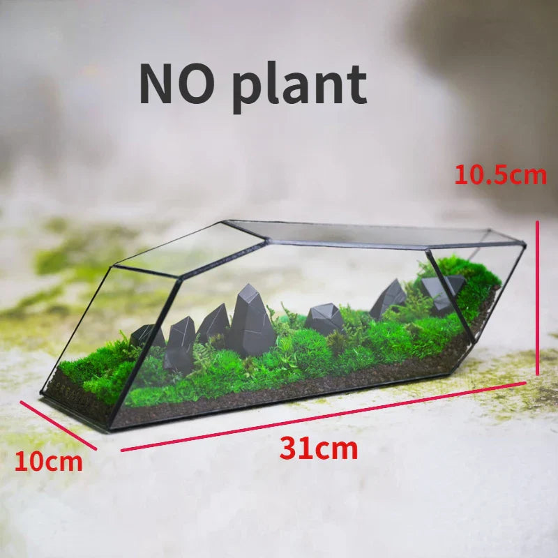 Frendorf | Geometrische Glas Moos Pflanztopf Terrarium Vase