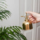 Frendorf | PlantLuxe Premium Pflanzensprüher | Goldene Sprühflasche für Pflanzenpflege | Stilvolles Zubehör für Zimmerpflanzen