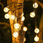 Frendorf | TwinkleGlow™ Solar LED Lichterkette | Außenbeleuchtung für Garten & Terrasse | Wasserdichte Funkellichter für jede Saison