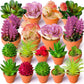 Frendorf | 24 Stück Künstliche Sukkulenten – Realistische Kunst Kakteen und Aloe Stängel für Terrarien, Hochzeiten, Partys und Wohnkultur