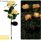 Outdoor Solar LED Blumenlampe