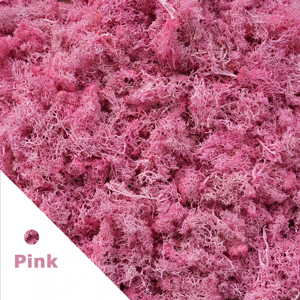 Frendorf | 200g Künstliches Grünes Moosgras – Mini Ewiges Leben Kunstgras für DIY-Basteleien, Haus- & Garten dekoration