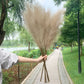 5 Stück 100 cm Künstliches Pampasgras Trockenrohr Blumenstrauß Hochzeitsfeier Dekoration Zuhause Raum DIY Künstliche Pflanzen Dekorationsbedarf