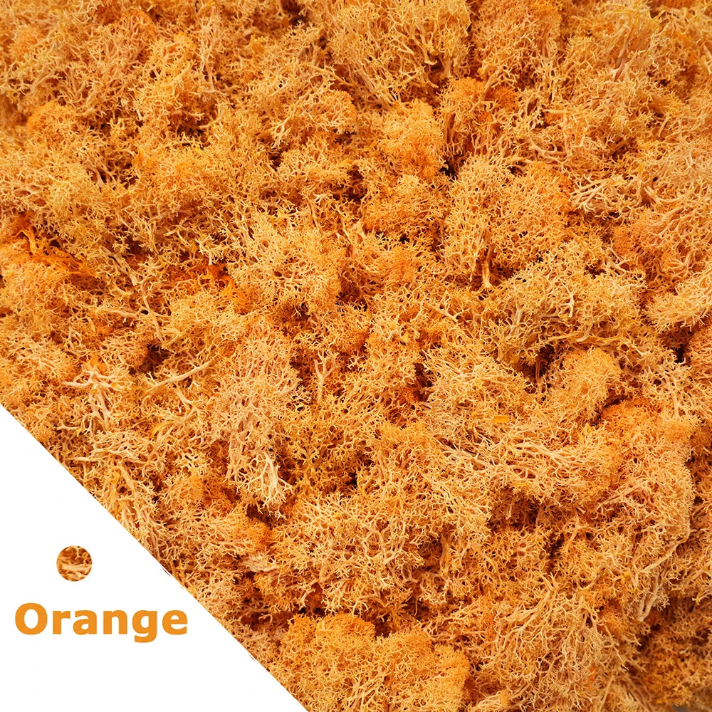 Frendorf | 200g Künstliches Grünes Moosgras – Mini Ewiges Leben Kunstgras für DIY-Basteleien, Haus- & Garten dekoration