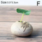 Frendorf | Vaseona Kreative Vase aus Steinzeug | Dekorative Blumen-Vase | Hydroponischer Pflanzentopf | Zen-Stil für Zuhause & Büro