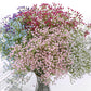 Frendorf | 1 Zweig Künstliche Himmel Sterne Blumenstrauß – 90 Köpfe Seidenrose Bouquet für Hochzeit, Party und Wohnkultur in mehreren Farben