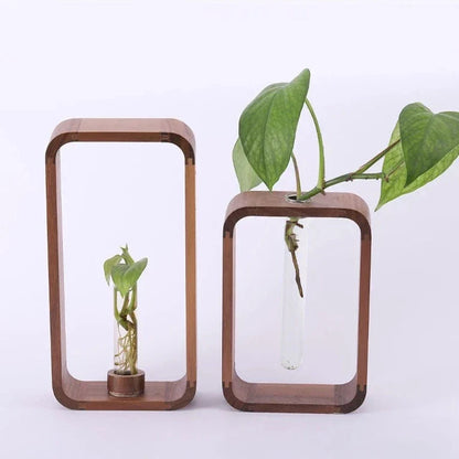 Frendorf | PlantSphere Hohler Pflanzenvermehrer | Dekorative Pflanzenzuchtstation | Perfekt für Zuhause & Büro