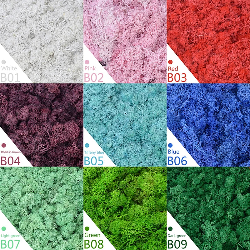 Frendorf | Künstliches Moosgras – 40g/20g Ewiges Lebensmoos für Wohnhausgarten Wanddeko, DIY Mikrolandschaft Zubehör