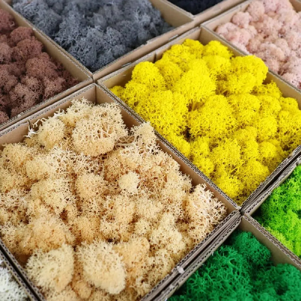 Frendorf | EvergreenPro Deko-Moos | Pflegefrei & Flexibel | Immergrüner Look