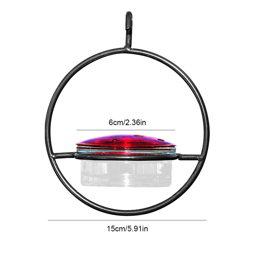 Frendorf | BirdJoy – Kolibris anlocken, ohne Chaos