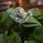 Dekorative Glasvogel-Wishewannen - 8 Stile Selbstbewässernde Zimmerpflanze & Blumen Glasbewässerungsgerät