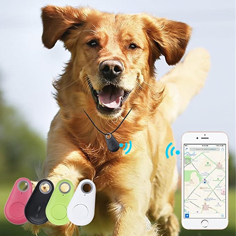 Frendorf | Haustier Smart GPS Tracker Mini