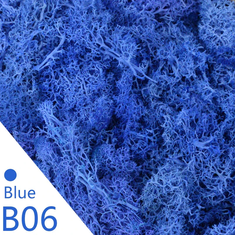 Frendorf | Künstliches Moosgras – 40g/20g Ewiges Lebensmoos für Wohnhausgarten Wanddeko, DIY Mikrolandschaft Zubehör