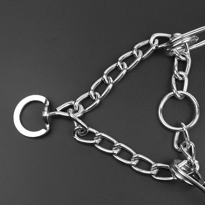 Frendorf | Hund Pincher Halsband - Stil B