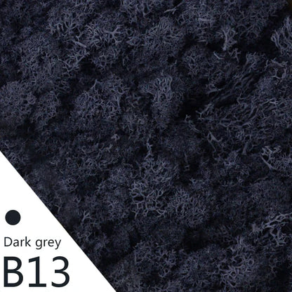 Frendorf | Künstliches Moosgras – 40g/20g Ewiges Lebensmoos für Wohnhausgarten Wanddeko, DIY Mikrolandschaft Zubehör